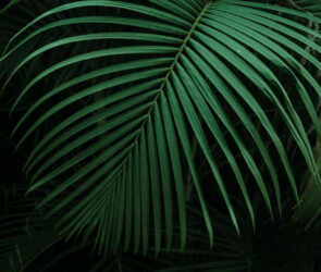 demo_image-7